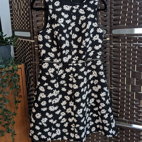 Ann Taylor Petite Black & White Daisy Fit & Flare Dress (4P) - Picture 1 of 4